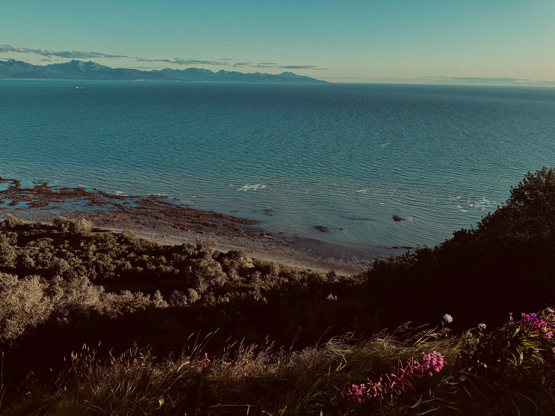 Alaska in Color