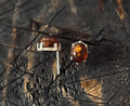 AMBER STUDS