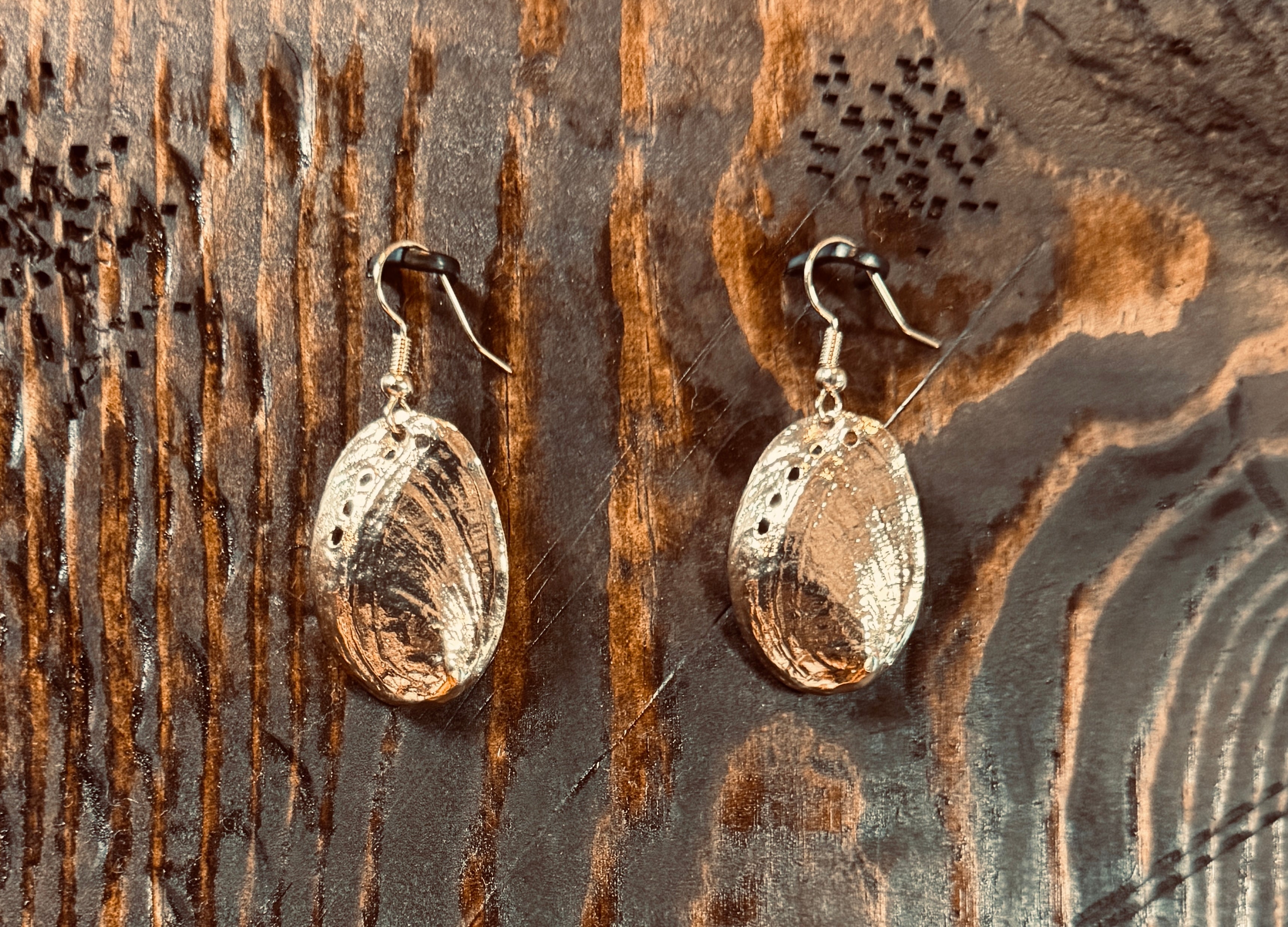 116 - ABALONE SHELLS