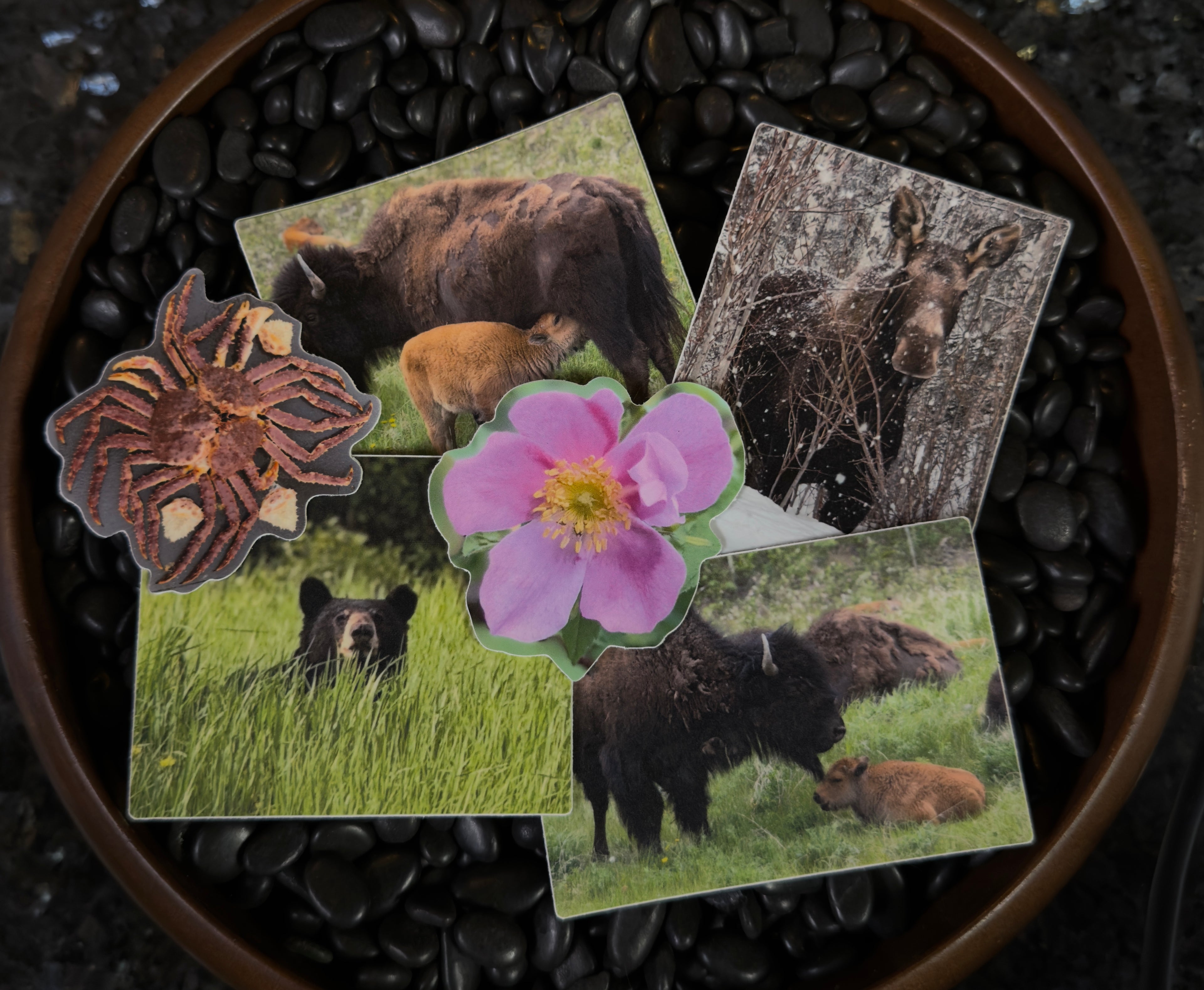 AK01 - ALASKA STICKER PACK