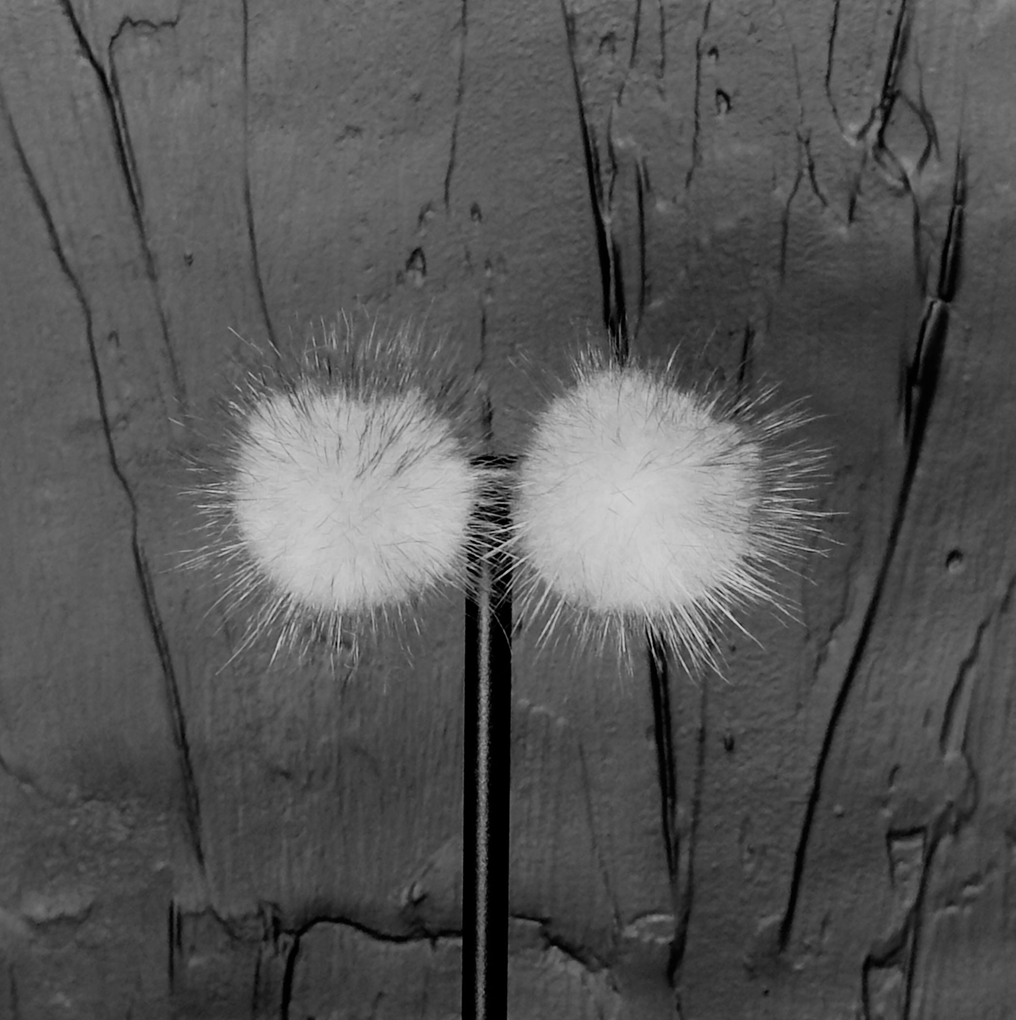 118 - MINK PUFF STUDS - GRAY