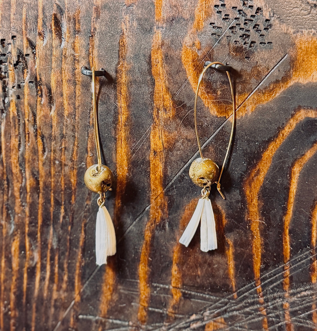 104 - LONG DENTALIUM