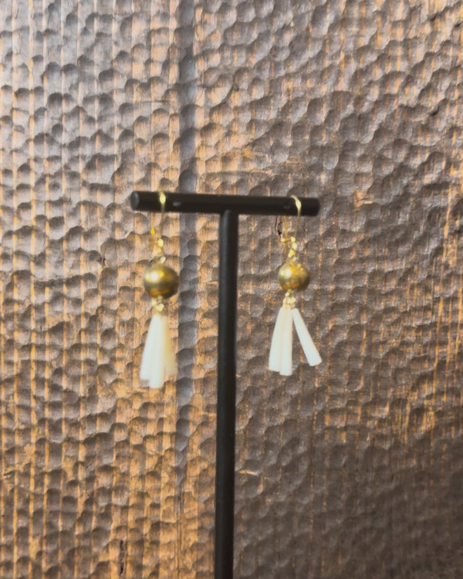 105 - SHORT DENTALIUM