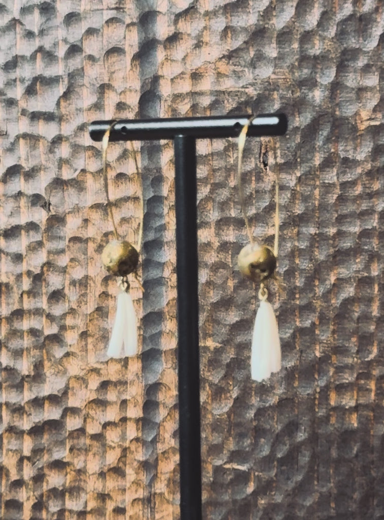 104 - LONG DENTALIUM